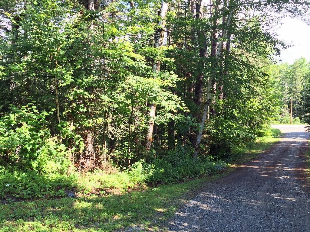 View from Trillium Loop