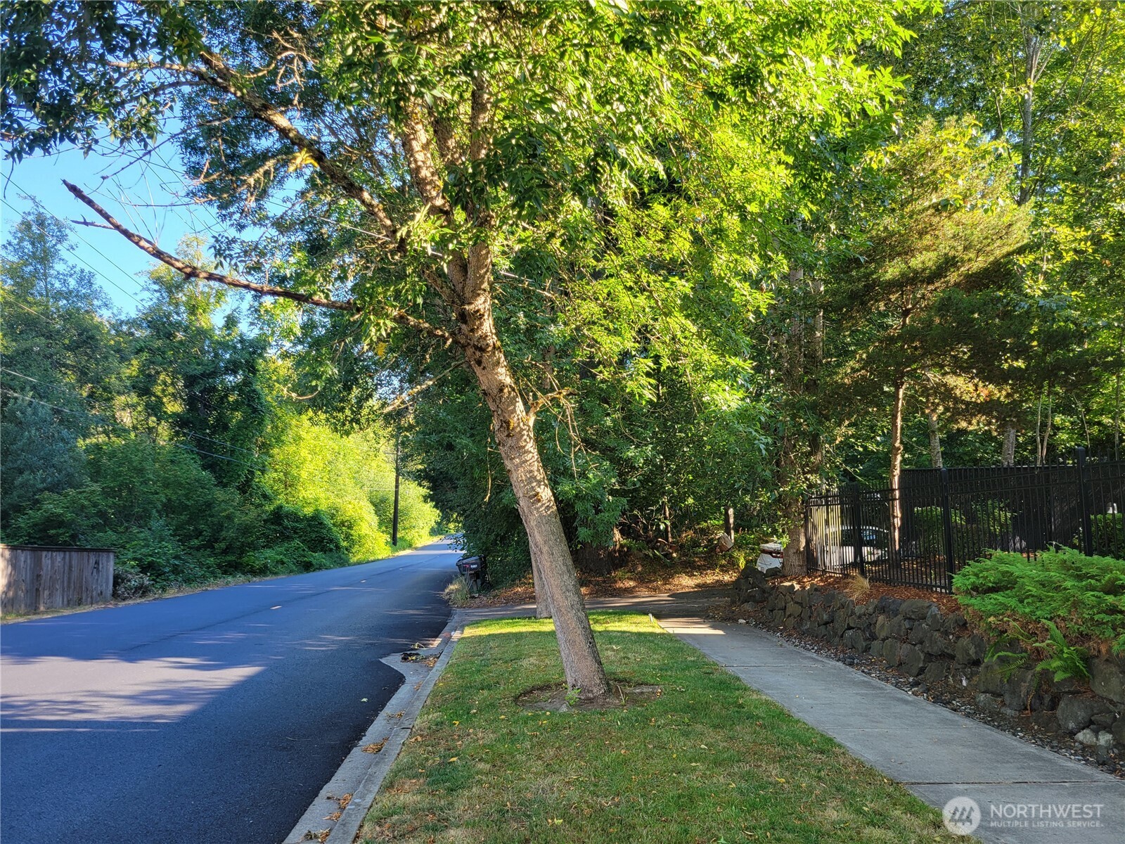 5012 Rural Road Southwest Tumwater, WA 98512 - Photo 2 of 7 a view of a park with large trees