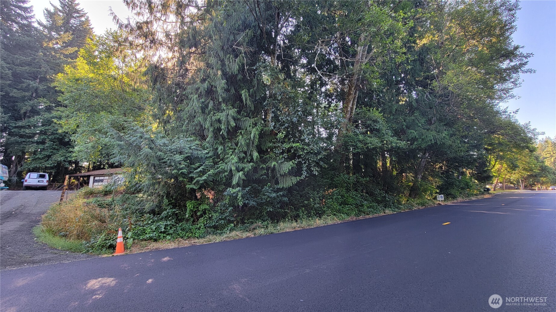 5012 Rural Road Southwest Tumwater, WA 98512 - Photo 5 of 7 a view of a field with plants and trees