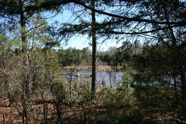 Lot #3 Trulock Road Lincolnton, GA 30817 - Photo 1 of 2 Main View