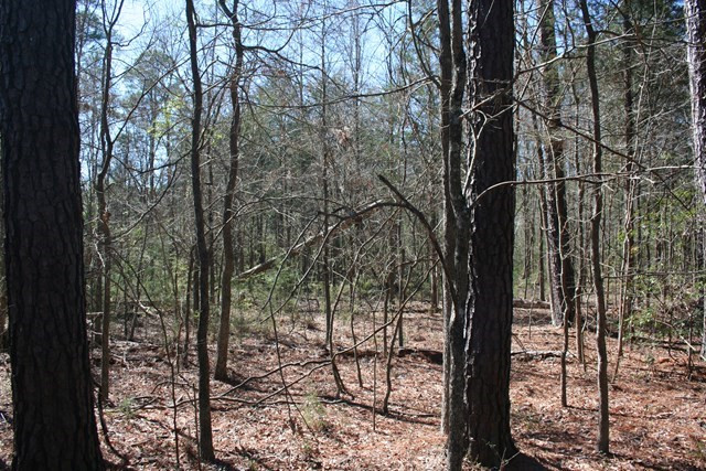 Lot #3 Trulock Road Lincolnton, GA 30817 - Photo 2 of 2 Gallery Image 2