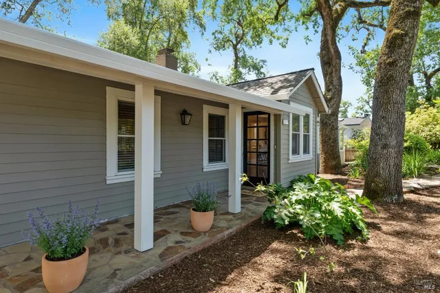 a view of a house with potted plants and a large tree