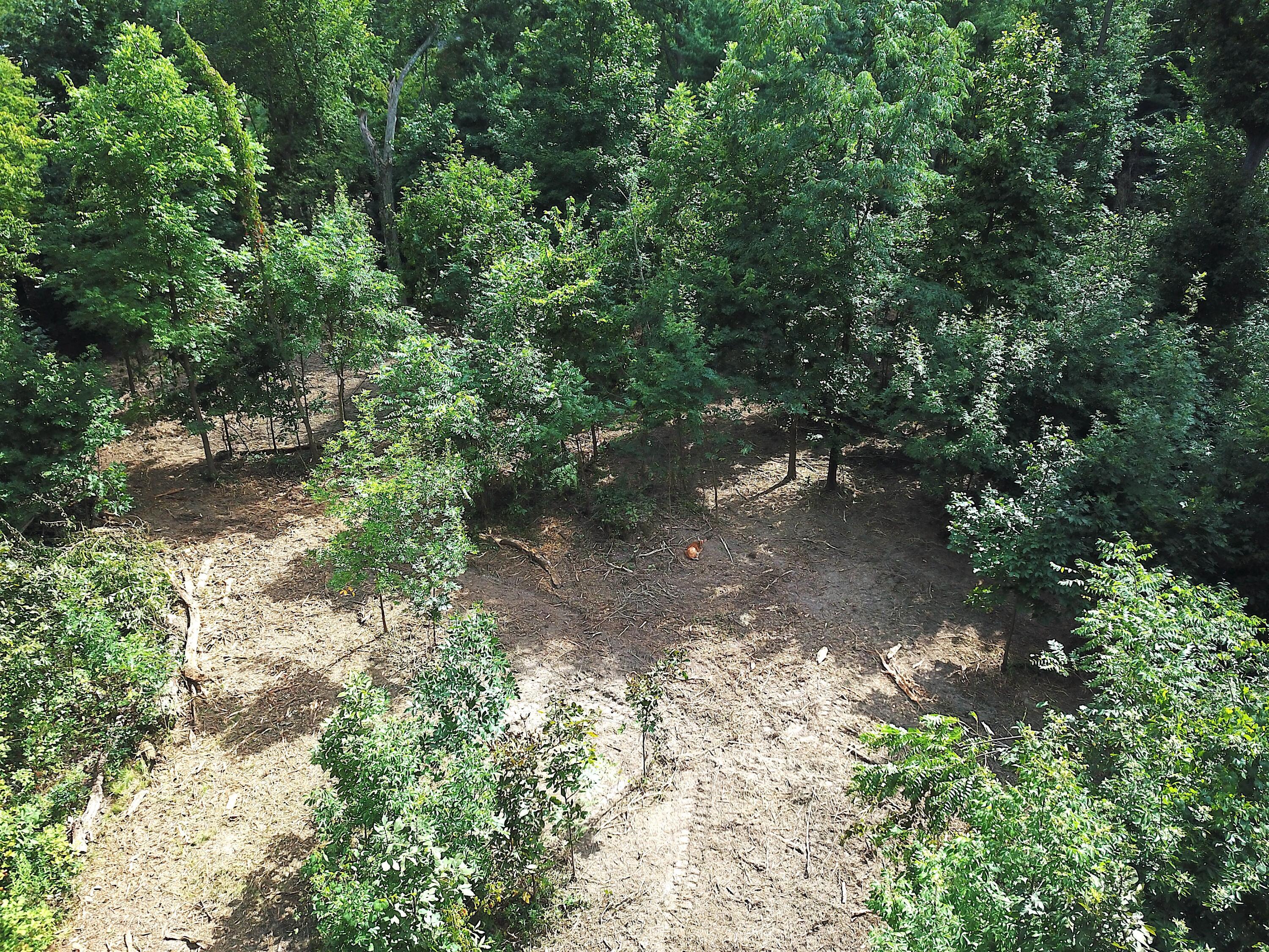 0 North Dean Road Ostrander, OH 43061 - Photo 11 of 38 DJI_0009