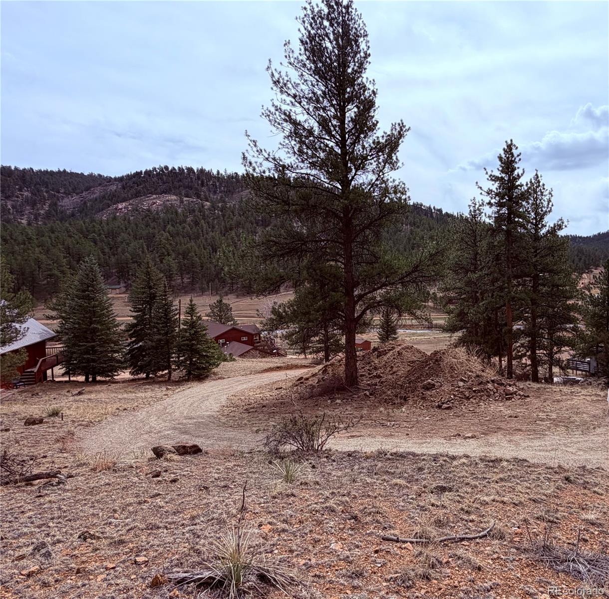 159 West Platte Road Lake George, CO 80827 - Photo 6 of 7 a view of a backyard of a house