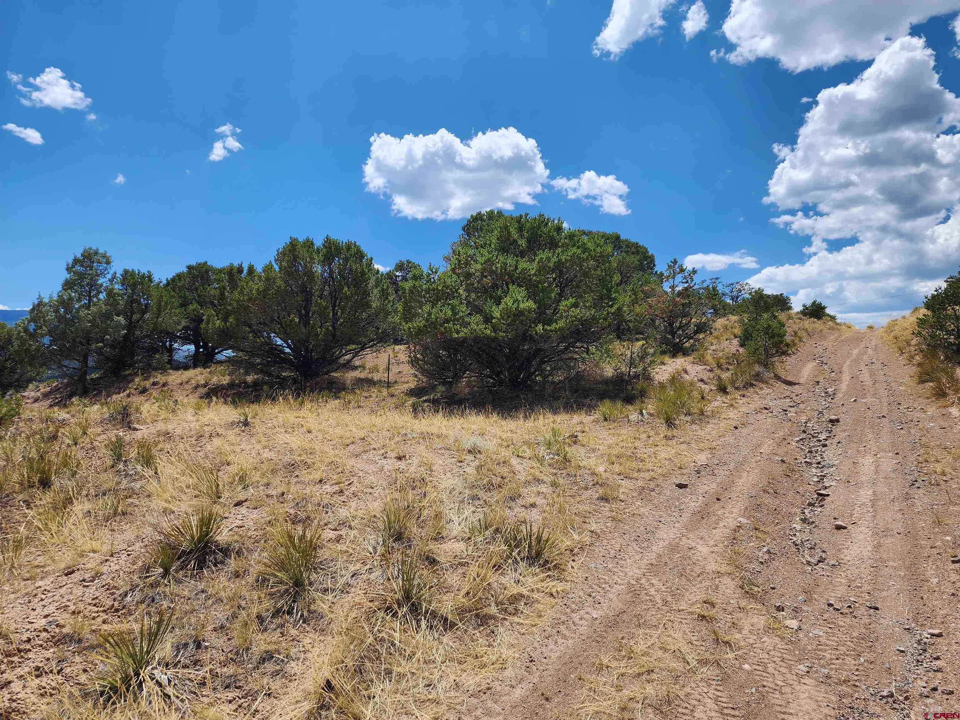 337 Trinchera Road South Fork, CO 81154 - Photo 4 of 6 a view of a dry yard