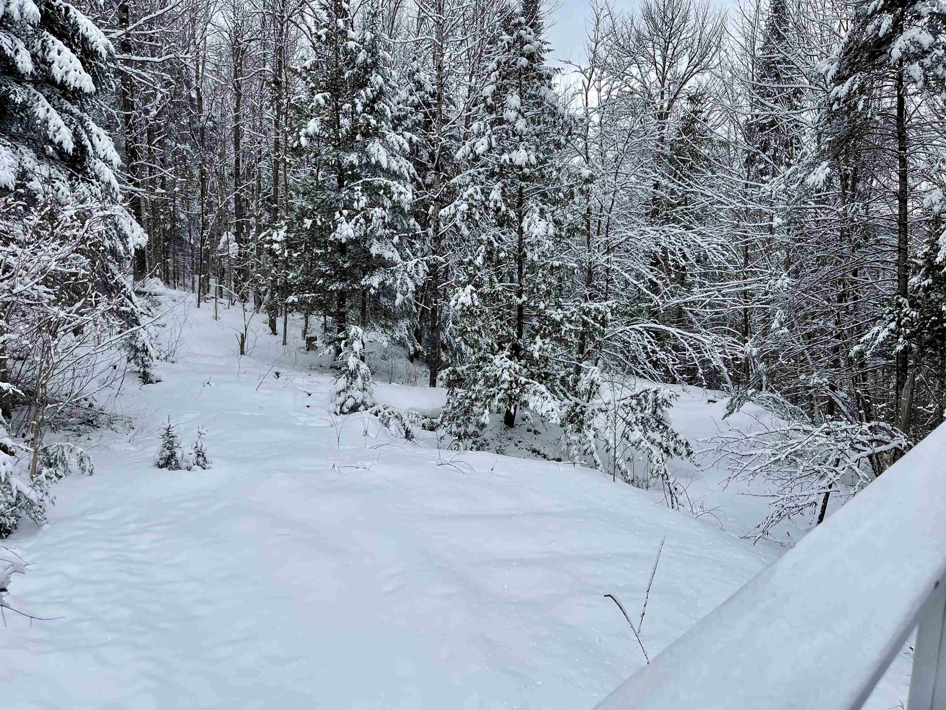378 Lost Nation Road East Haven, VT 05837 - Photo 4 of 34
