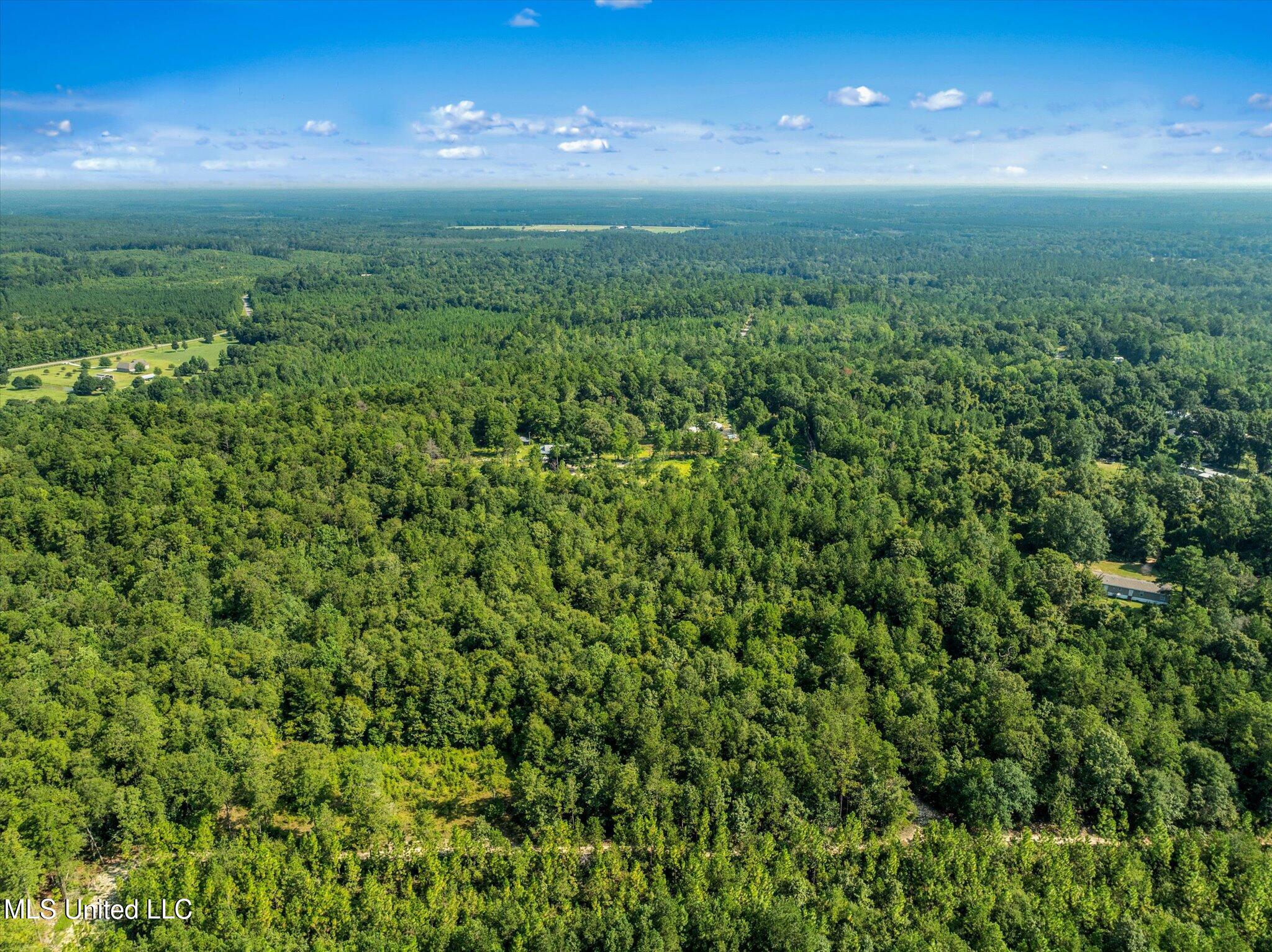 Forest Lake Road Beaumont, MS 39423 - Photo 1 of 12 Drone