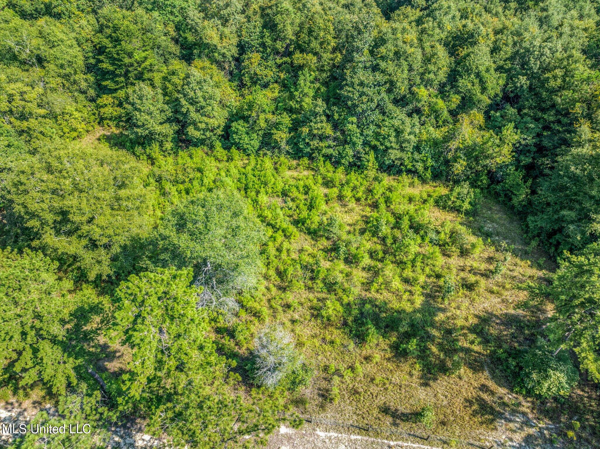 Forest Lake Road Beaumont, MS 39423 - Photo 3 of 12 03-drone-01