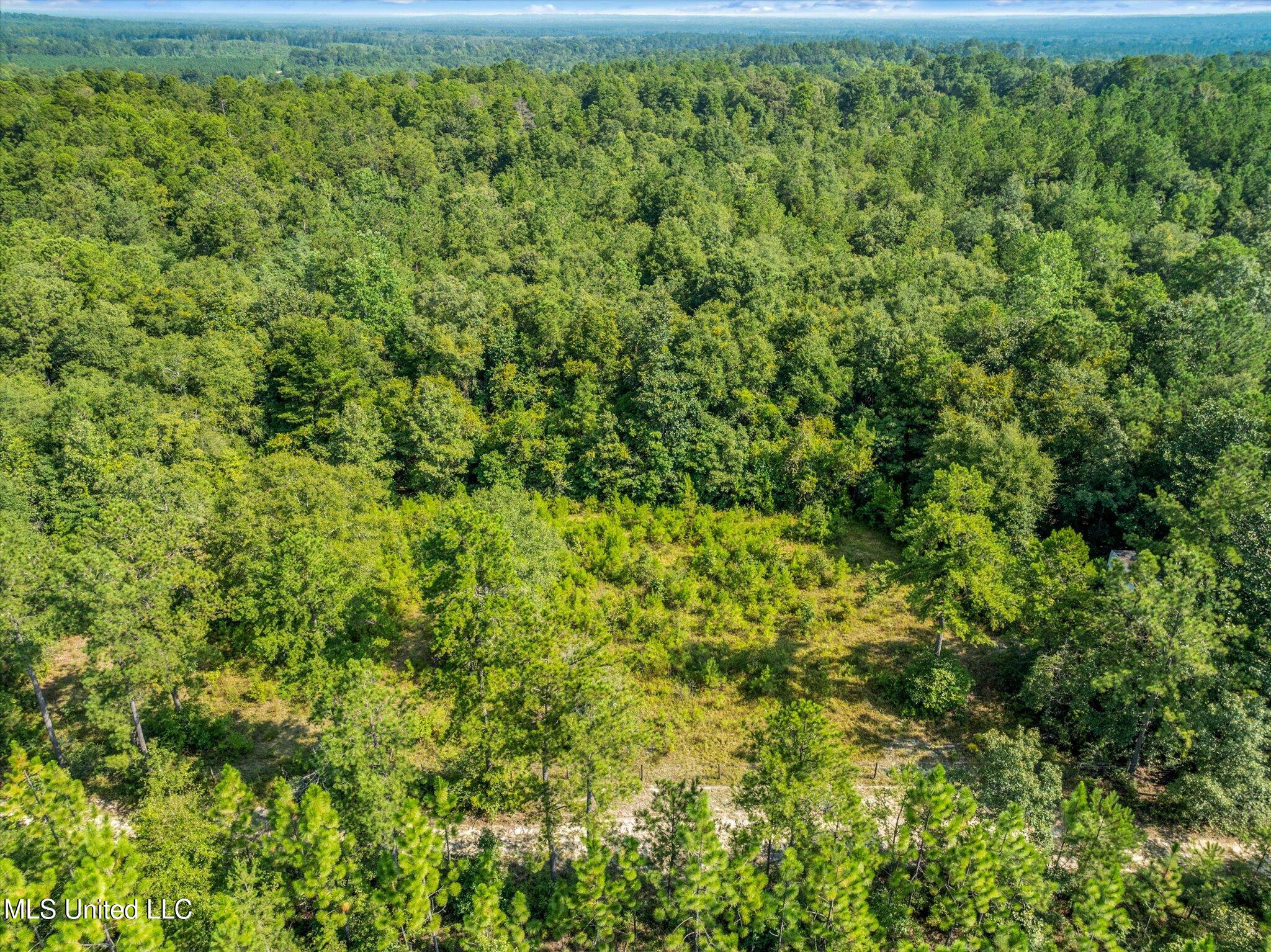 Forest Lake Road Beaumont, MS 39423 - Photo 4 of 12 04-drone-02