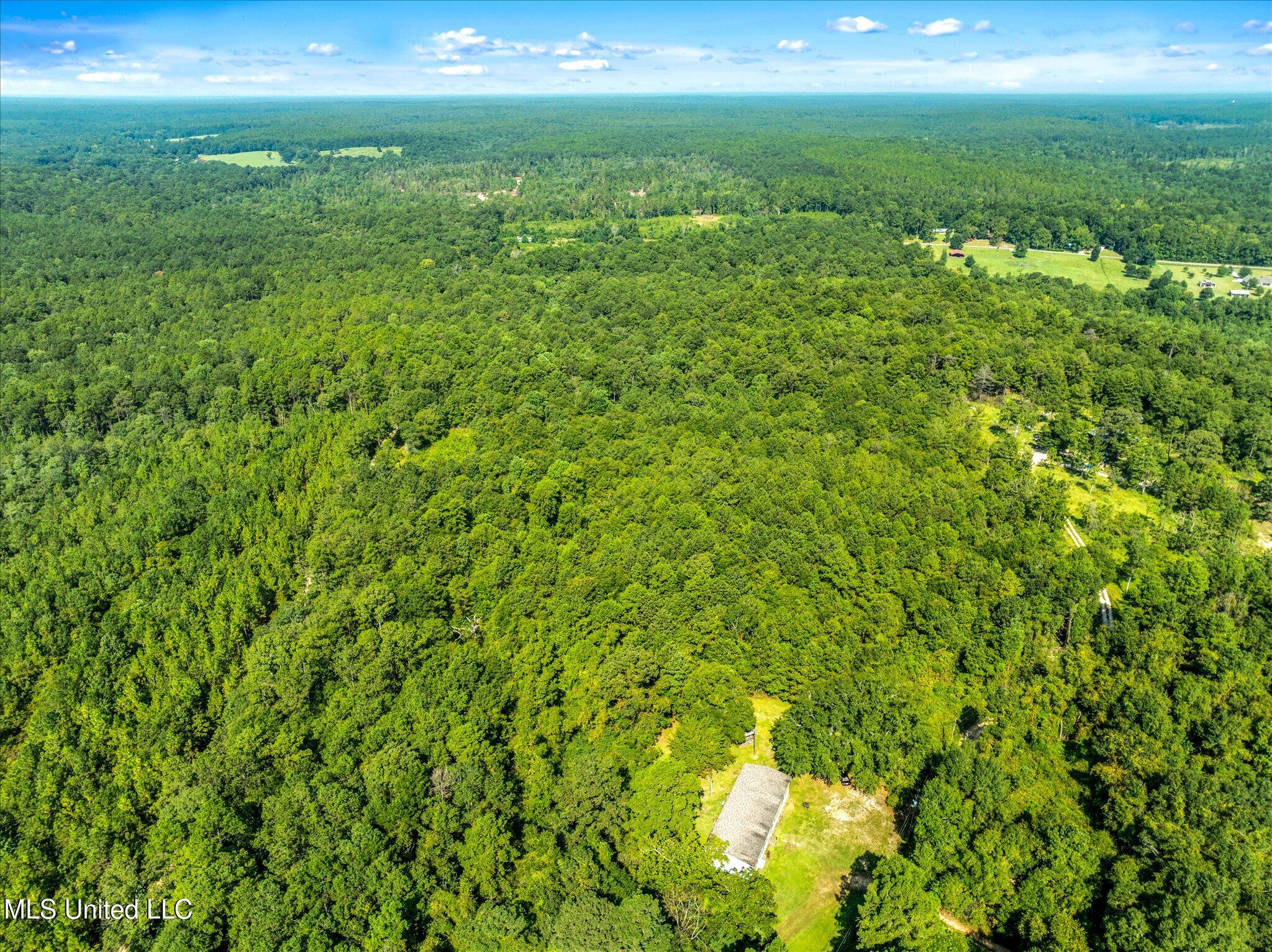 Forest Lake Road Beaumont, MS 39423 - Photo 7 of 12 07-drone-05