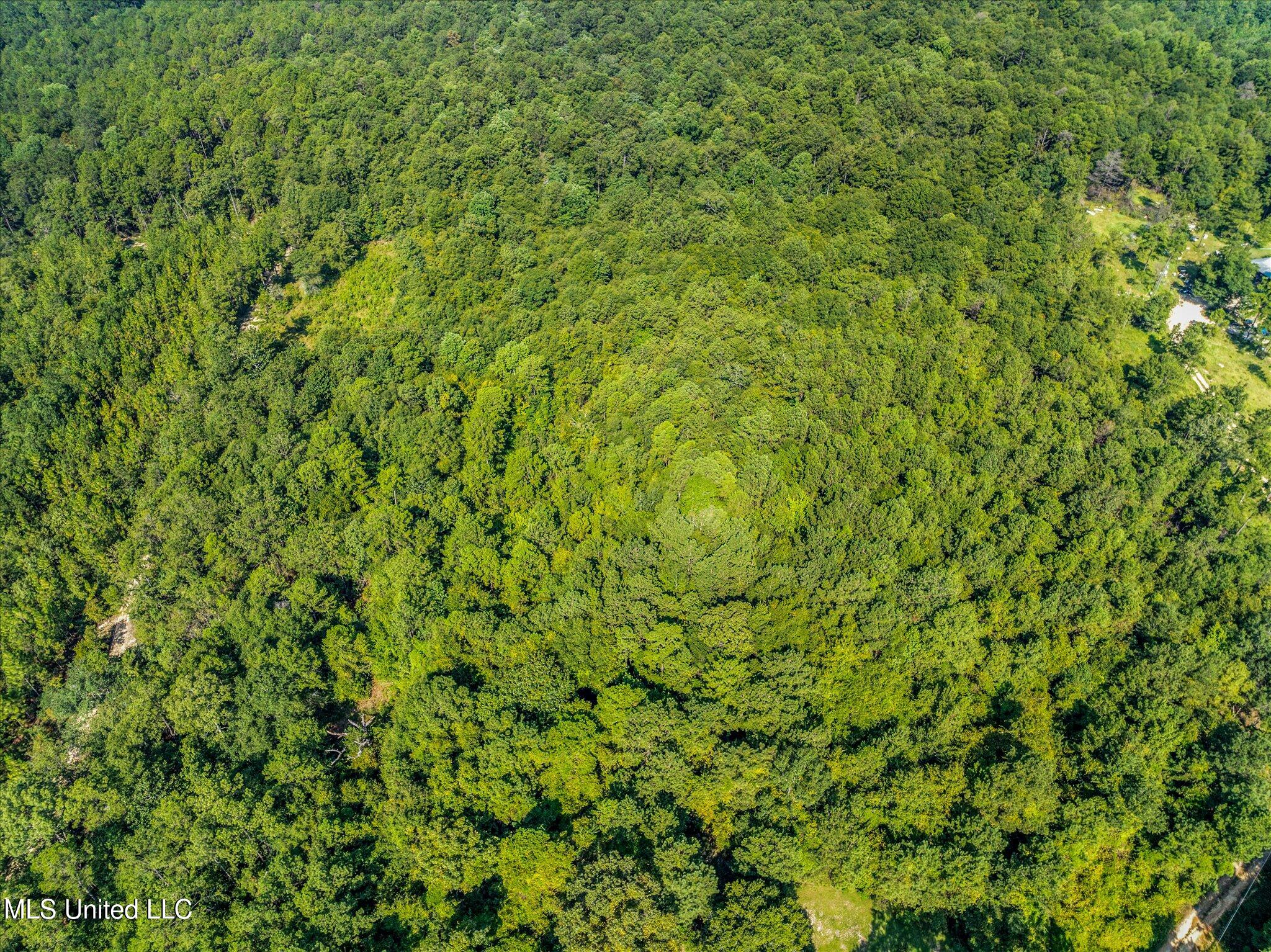 Forest Lake Road Beaumont, MS 39423 - Photo 8 of 12 08-drone-06