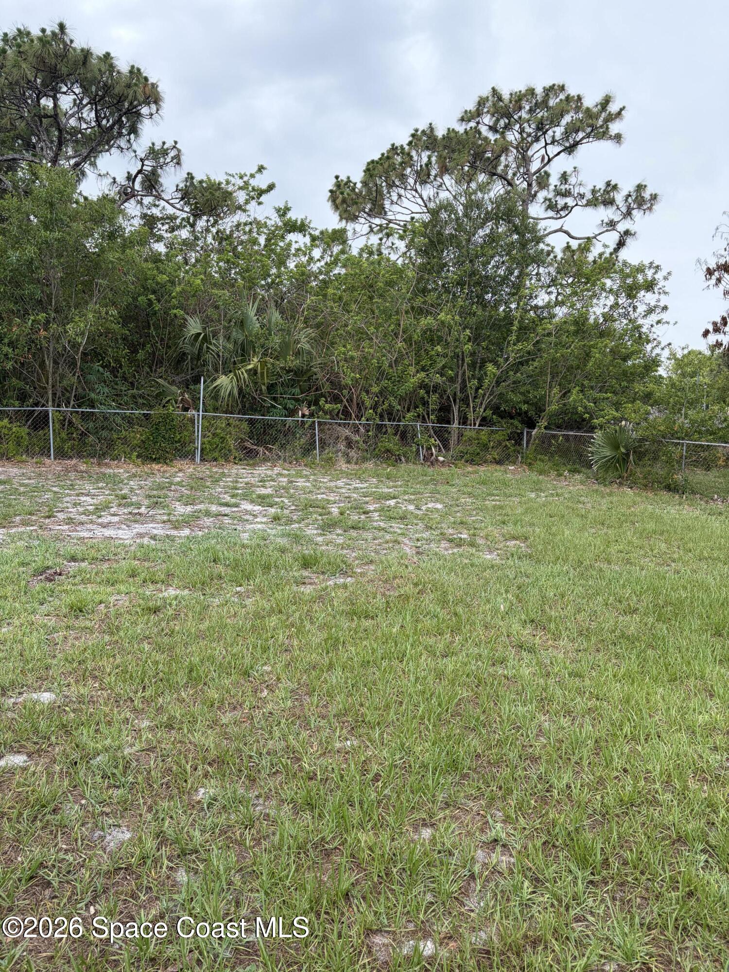 1136 Minnet Court Northeast Palm Bay, FL 32905 - Photo 11 of 31 Back yard 2 - Copy