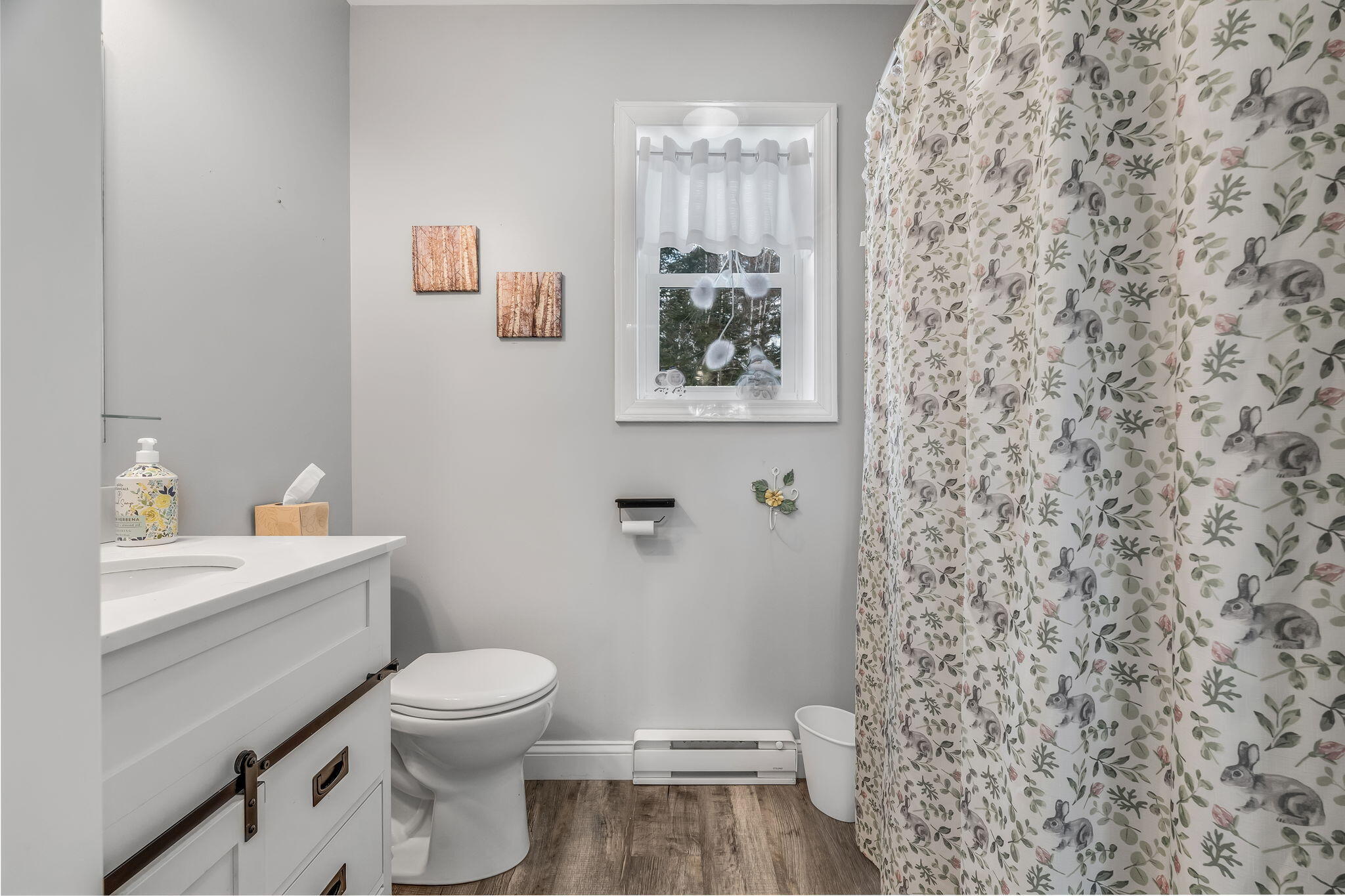 291 White Point Estates Road Lincoln, ME 04457 - Photo 6 of 56 6-web-or-mls-291-white-point-estates-rd