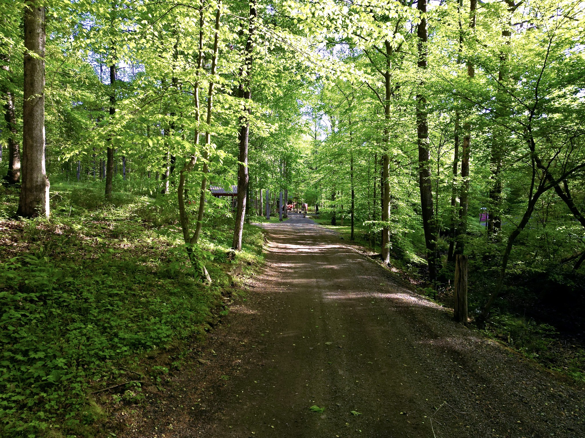 3975 Jarman Hollow Road Palmyra, TN 37142 - Photo 84 of 97