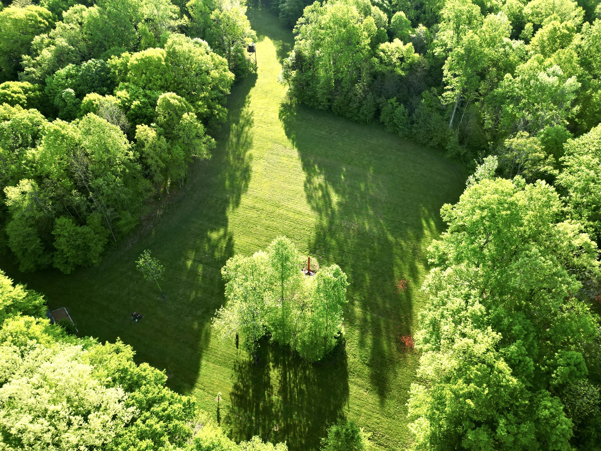 3975 Jarman Hollow Road Palmyra, TN 37142 - Photo 85 of 97