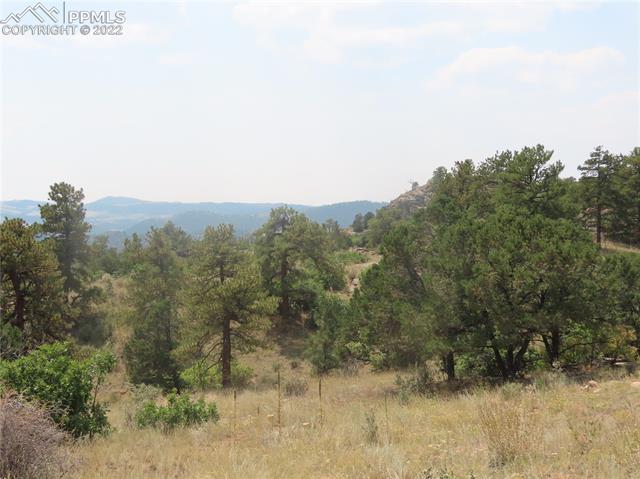 493 Cheyenne Road Florissant, CO 80816 - Photo 6 of 24 Gallery Image 6