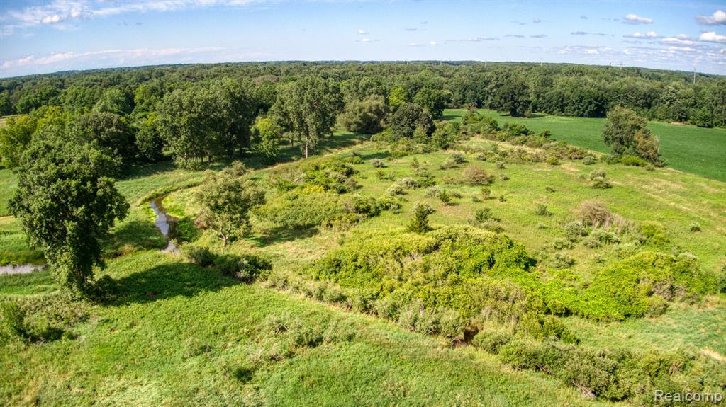 V/l Layton Road Fowlerville, MI 48836 - Photo 7 of 12 Gallery Image 7