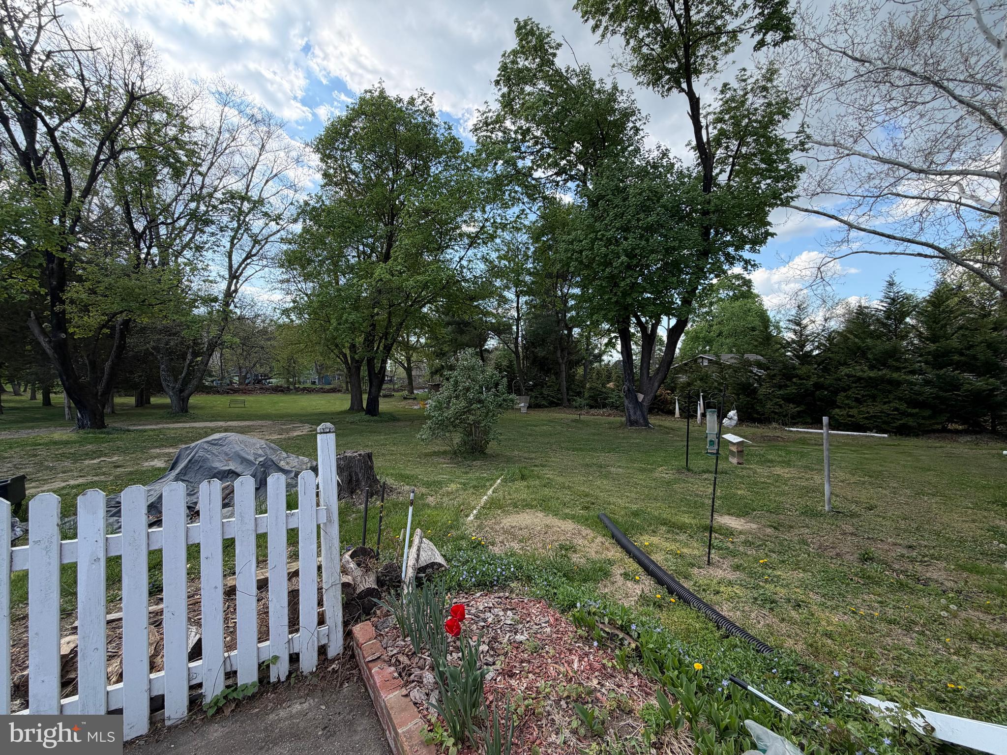 433 Juliustown Pemberton Road Juliustown, NJ 08022 - Photo 12 of 13
