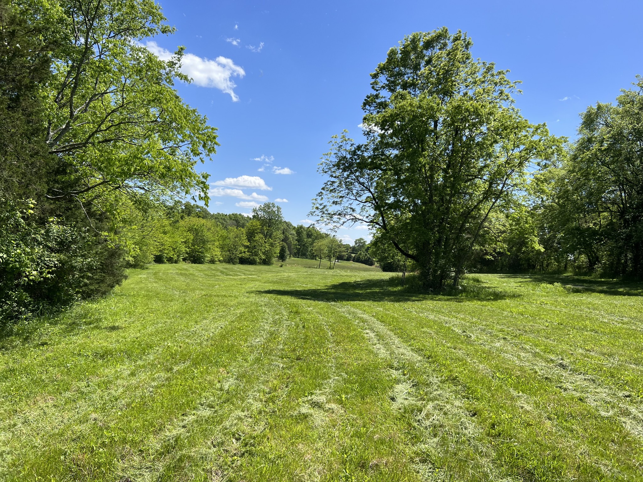 2315 Holloway Road Lebanon, TN 37090 - Photo 12 of 15 Gallery Image 12