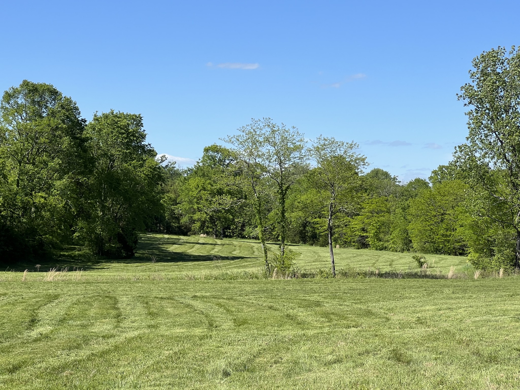 2315 Holloway Road Lebanon, TN 37090 - Photo 13 of 15 Gallery Image 13
