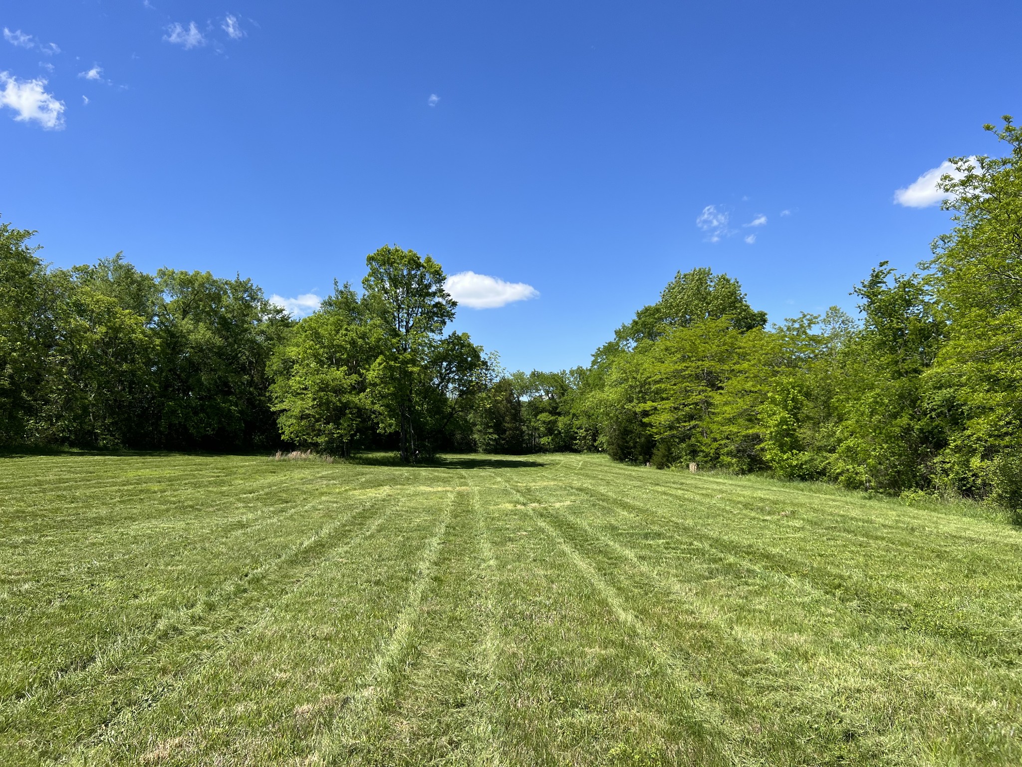 2315 Holloway Road Lebanon, TN 37090 - Photo 2 of 15 Gallery Image 2