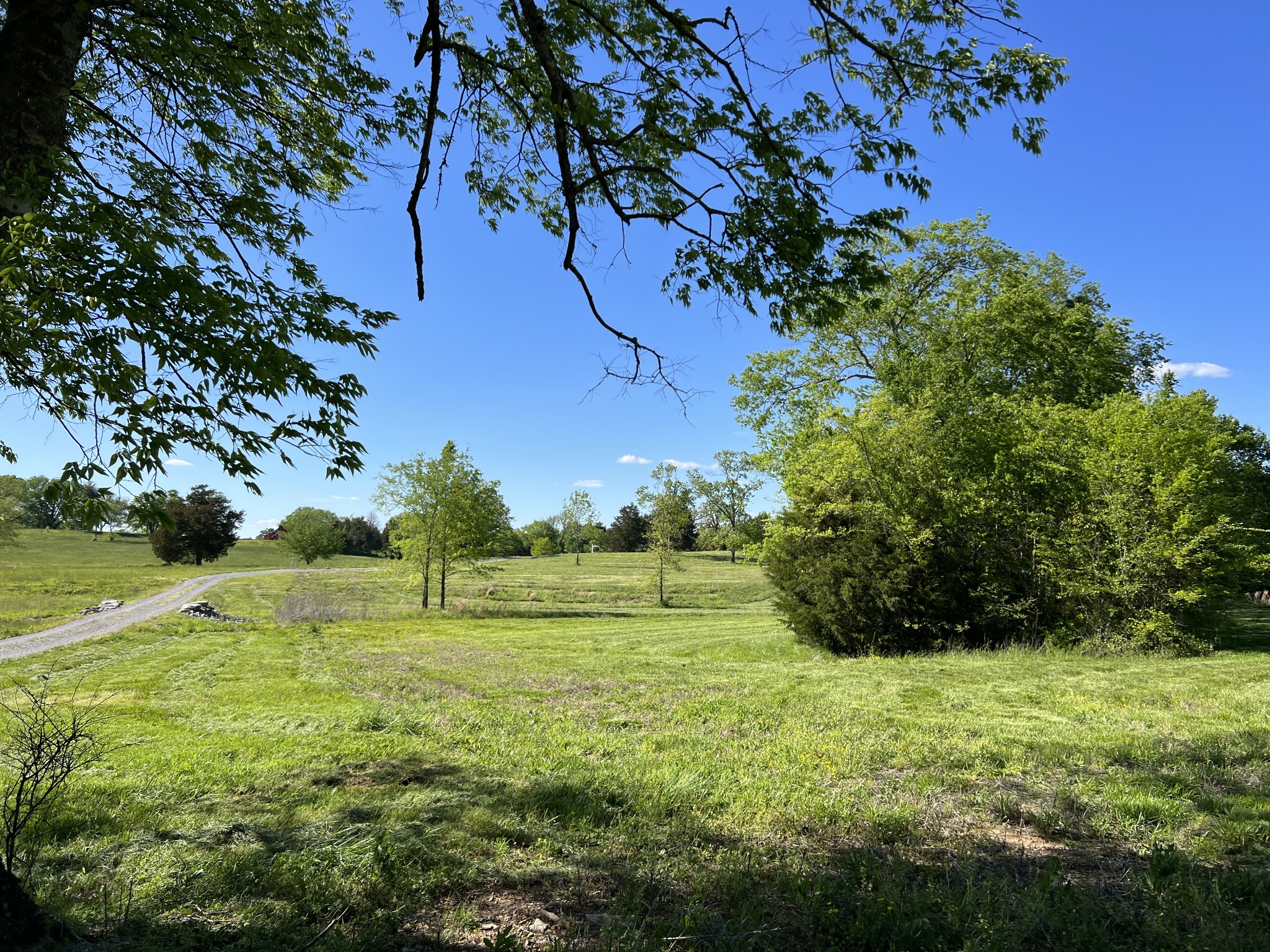 2315 Holloway Road Lebanon, TN 37090 - Photo 3 of 15 Gallery Image 3