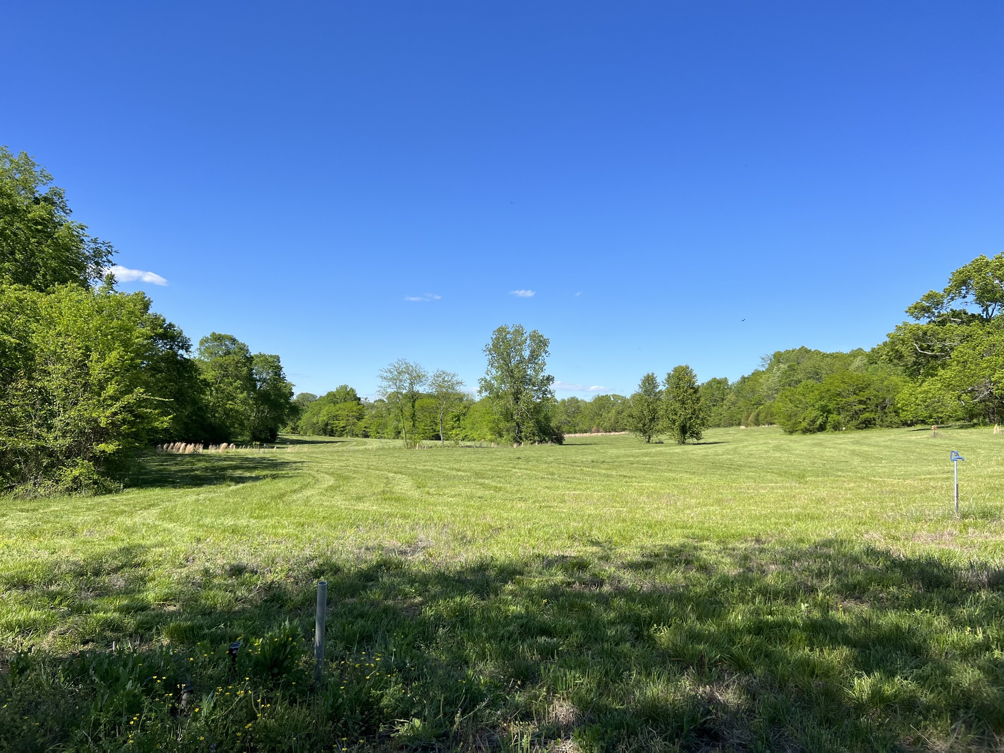 2315 Holloway Road Lebanon, TN 37090 - Photo 4 of 15 Gallery Image 4
