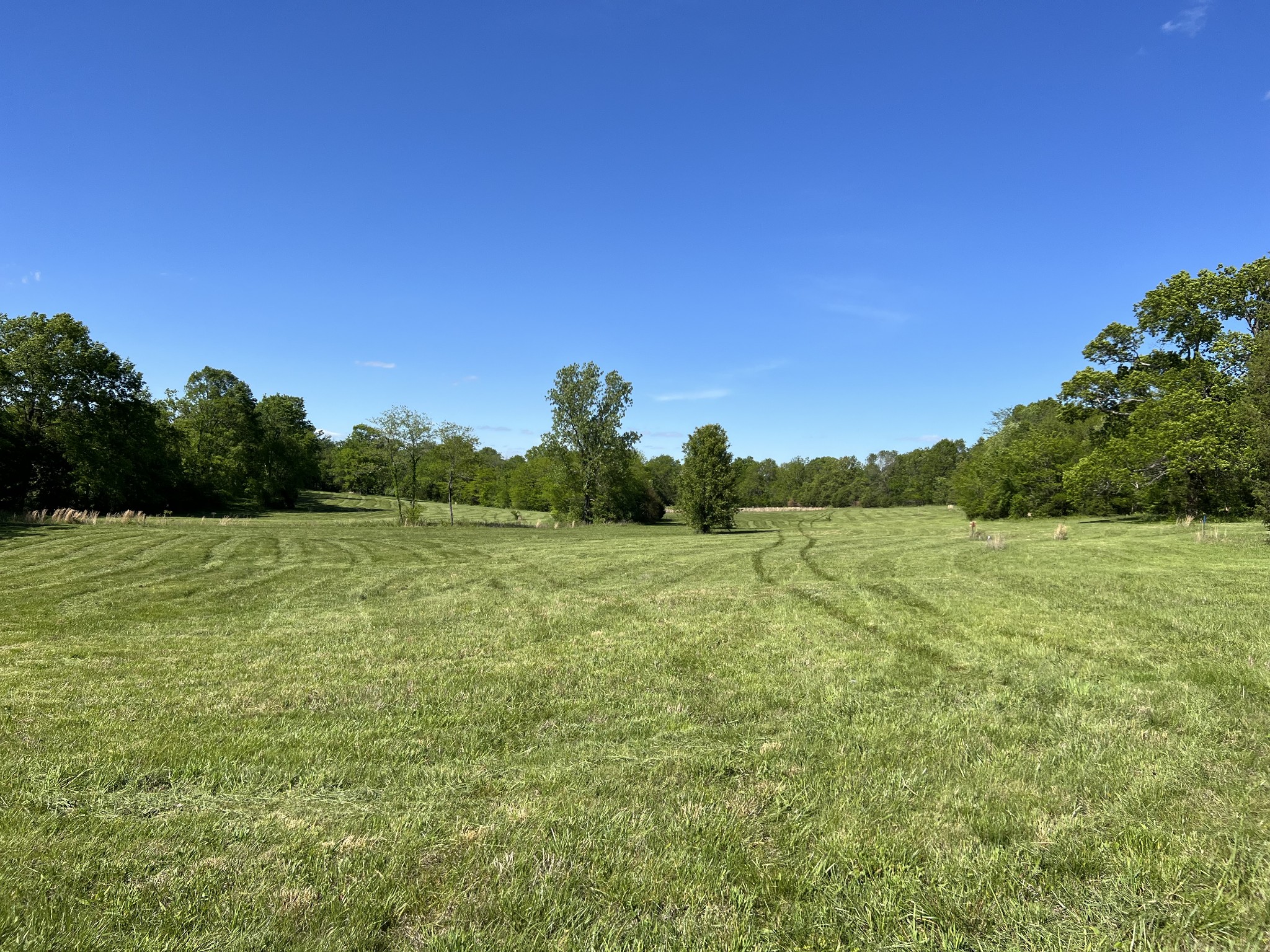 2315 Holloway Road Lebanon, TN 37090 - Photo 7 of 15 Gallery Image 7