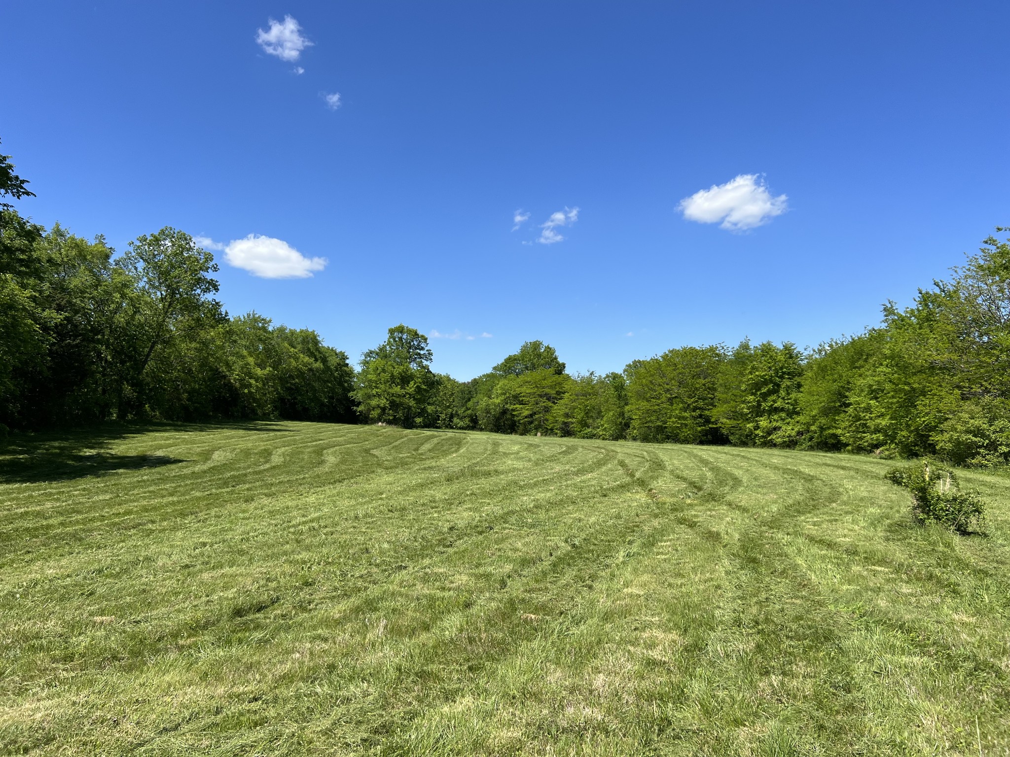 2315 Holloway Road Lebanon, TN 37090 - Photo 8 of 15 Gallery Image 8