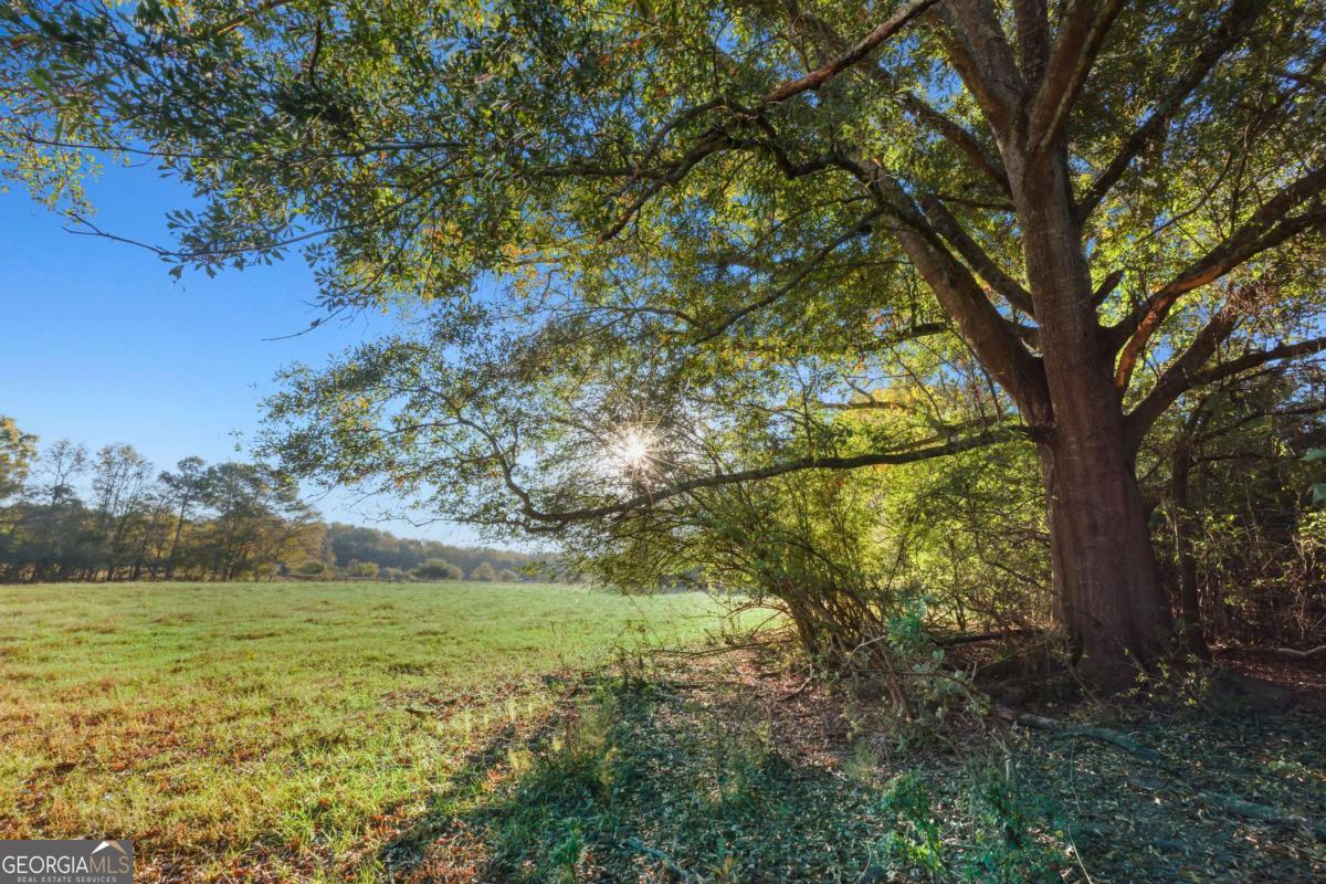 1210 Carson-Graves Road, Unit 2A Watkinsville, GA 30677 - Photo 11 of 16 a view of a yard with a tree