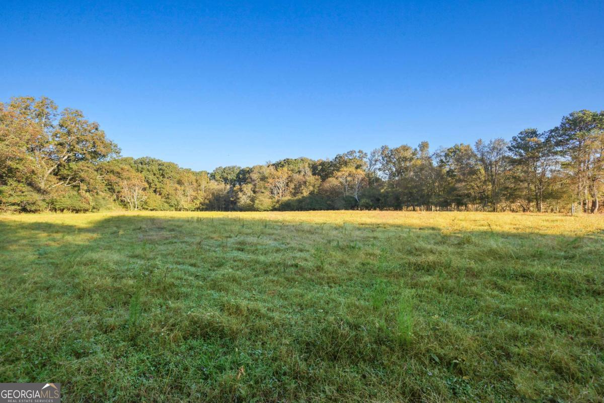 1210 Carson-Graves Road, Unit 2A Watkinsville, GA 30677 - Photo 3 of 16 a view of yard with mountain and trees