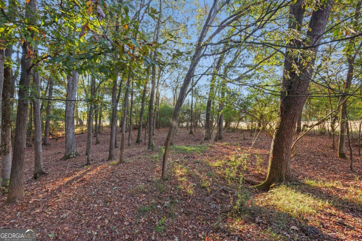 1210 Carson-Graves Road, Unit 2A Watkinsville, GA 30677 - Photo 6 of 16 a view of some trees and tree