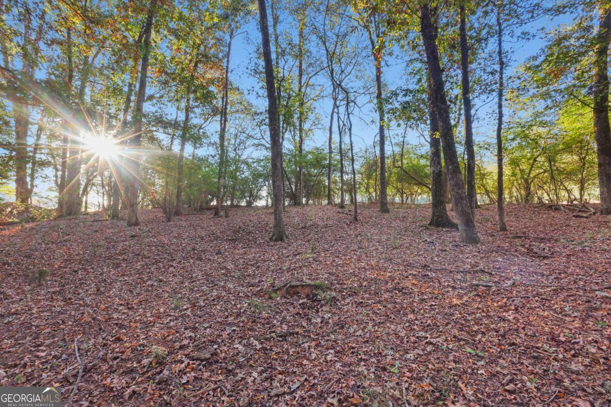 1210 Carson-Graves Road, Unit 2A Watkinsville, GA 30677 - Photo 7 of 16 a view of outdoor space with trees