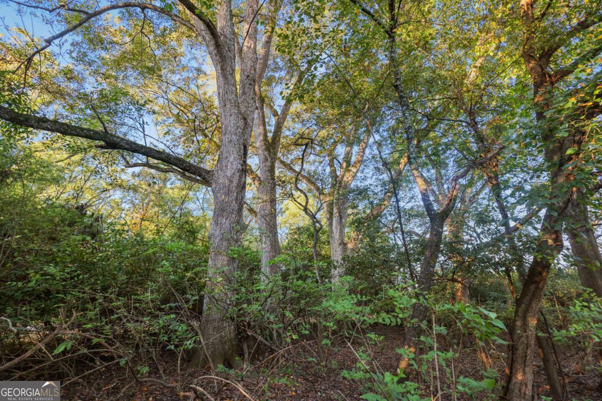 1210 Carson-Graves Road, Unit 2A Watkinsville, GA 30677 - Photo 9 of 16 a view of forest