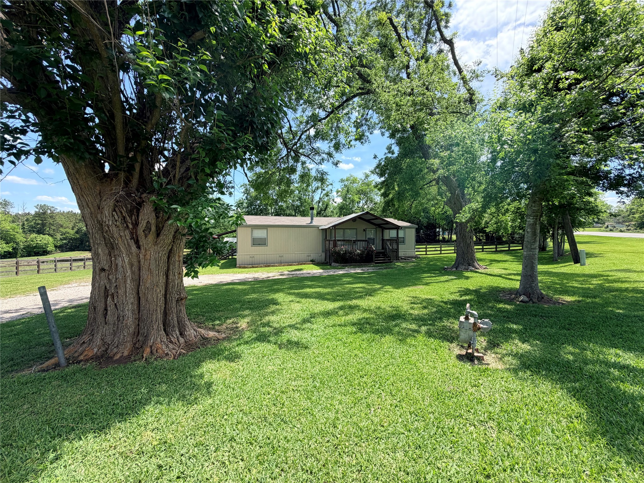 263 Camden Road Chester, TX 75936 - Photo 2 of 49 a view of a backyard with large trees and plants