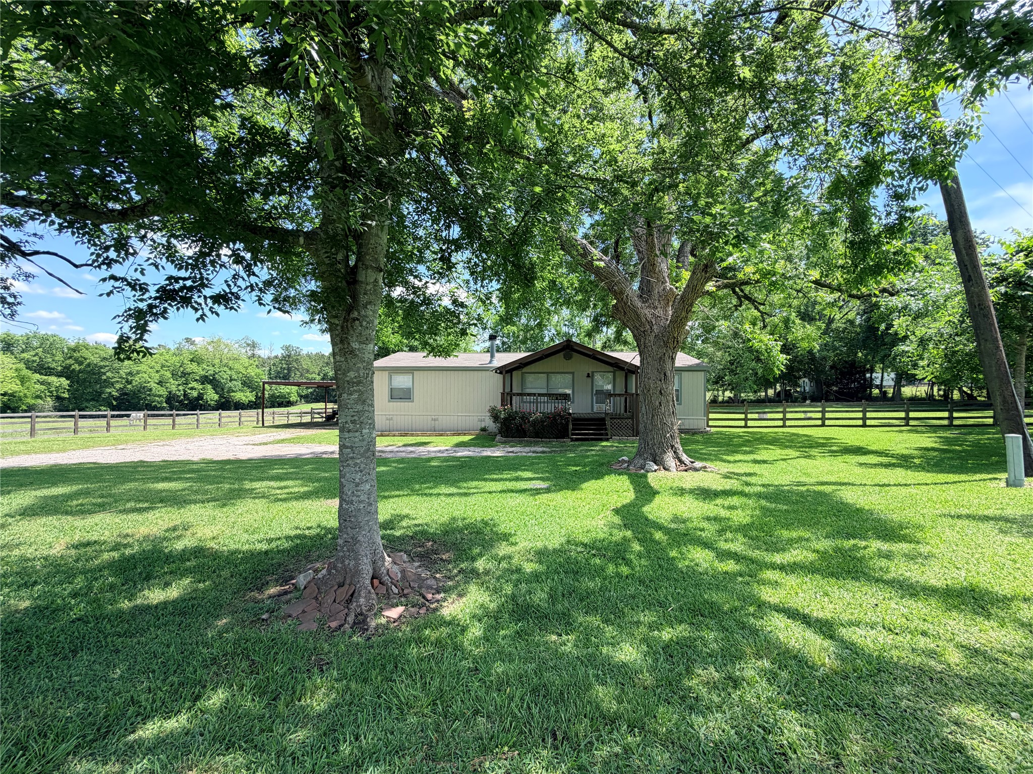 263 Camden Road Chester, TX 75936 - Photo 3 of 49 a view of a garden with large trees