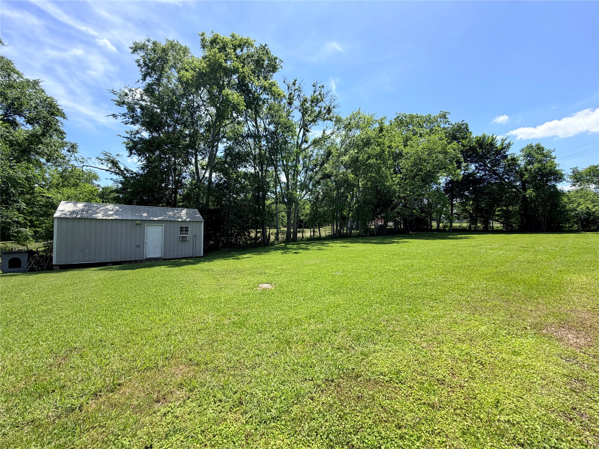 263 Camden Road Chester, TX 75936 - Photo 42 of 49 a backyard of a house with lots of green space