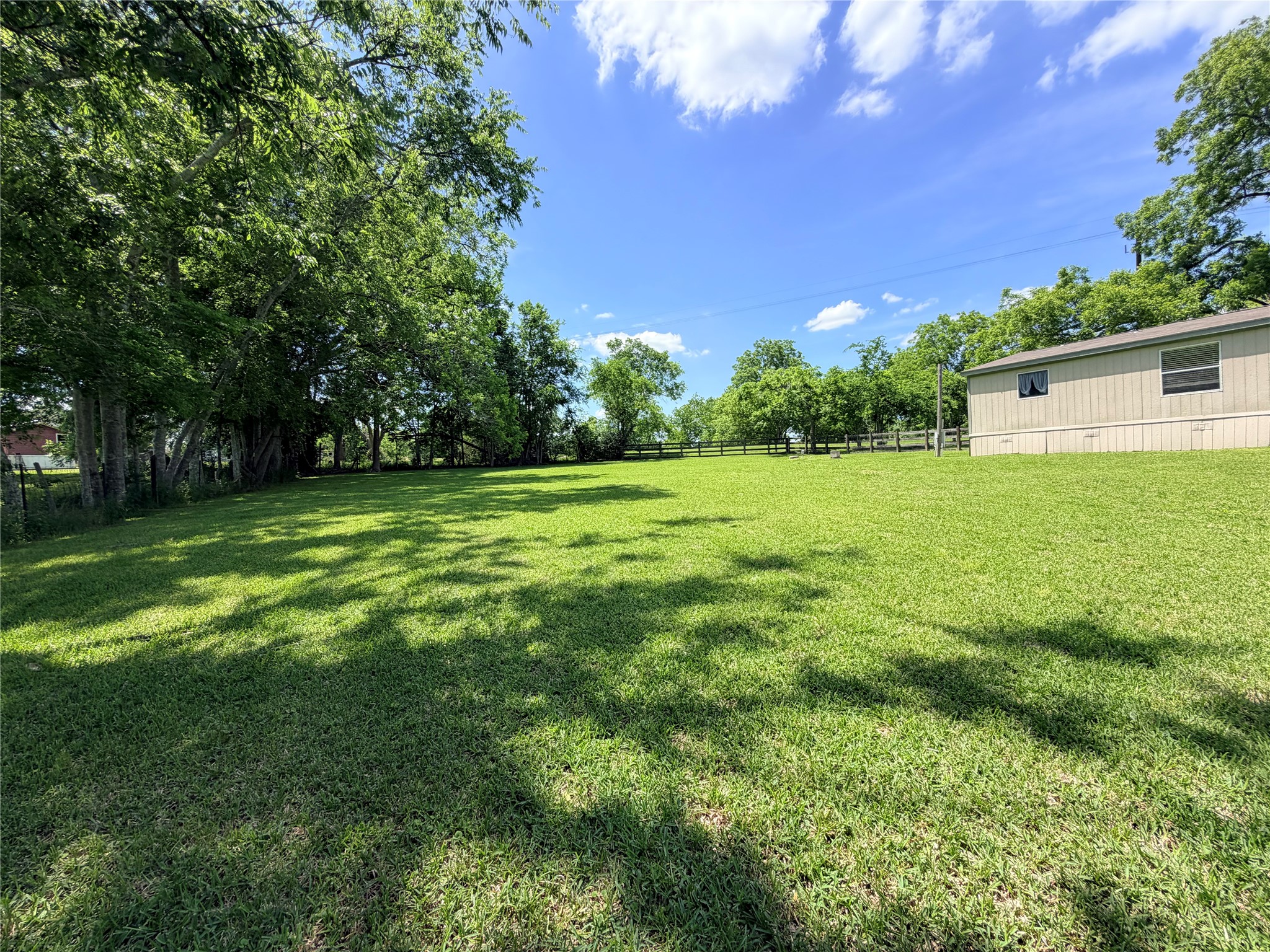 263 Camden Road Chester, TX 75936 - Photo 47 of 49 a view of a big yard with a house in the background