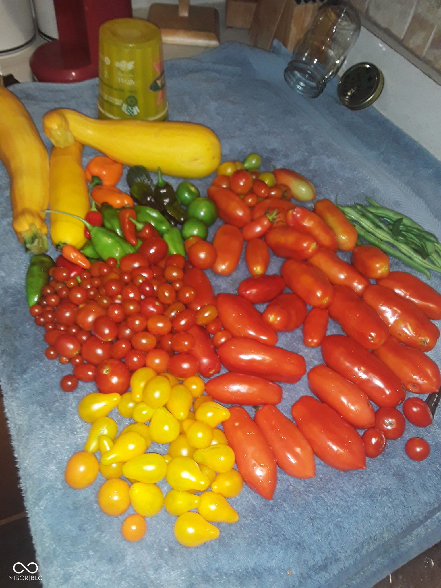 8252 West Chafin Chapel Road Ellettsville, IN 47429 - Photo 22 of 24