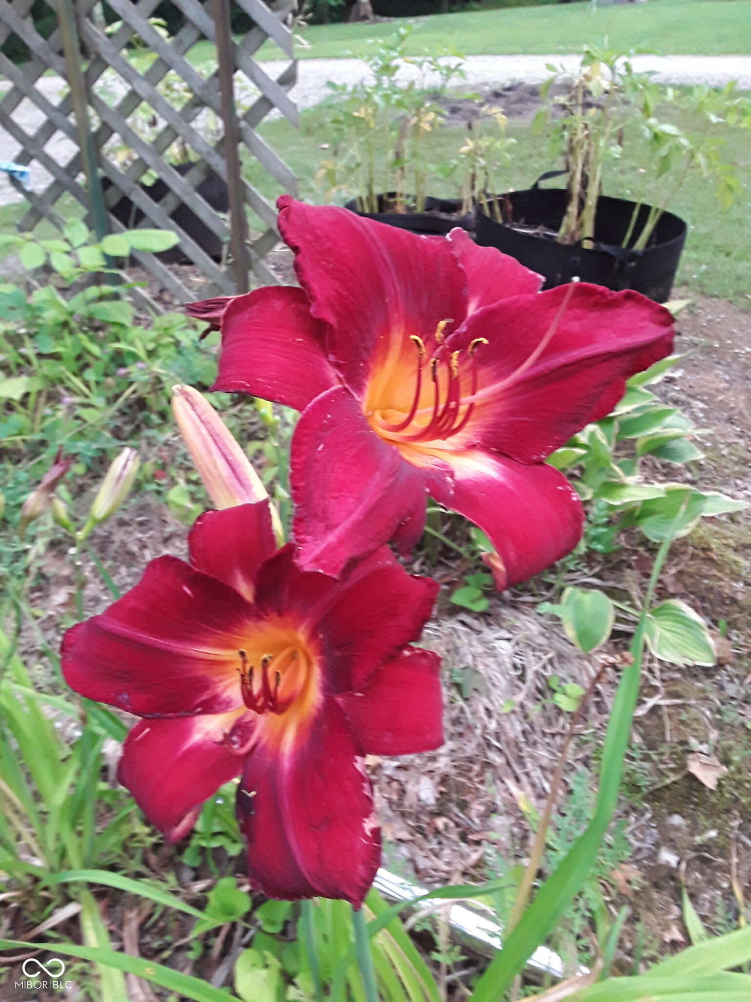 8252 West Chafin Chapel Road Ellettsville, IN 47429 - Photo 24 of 24