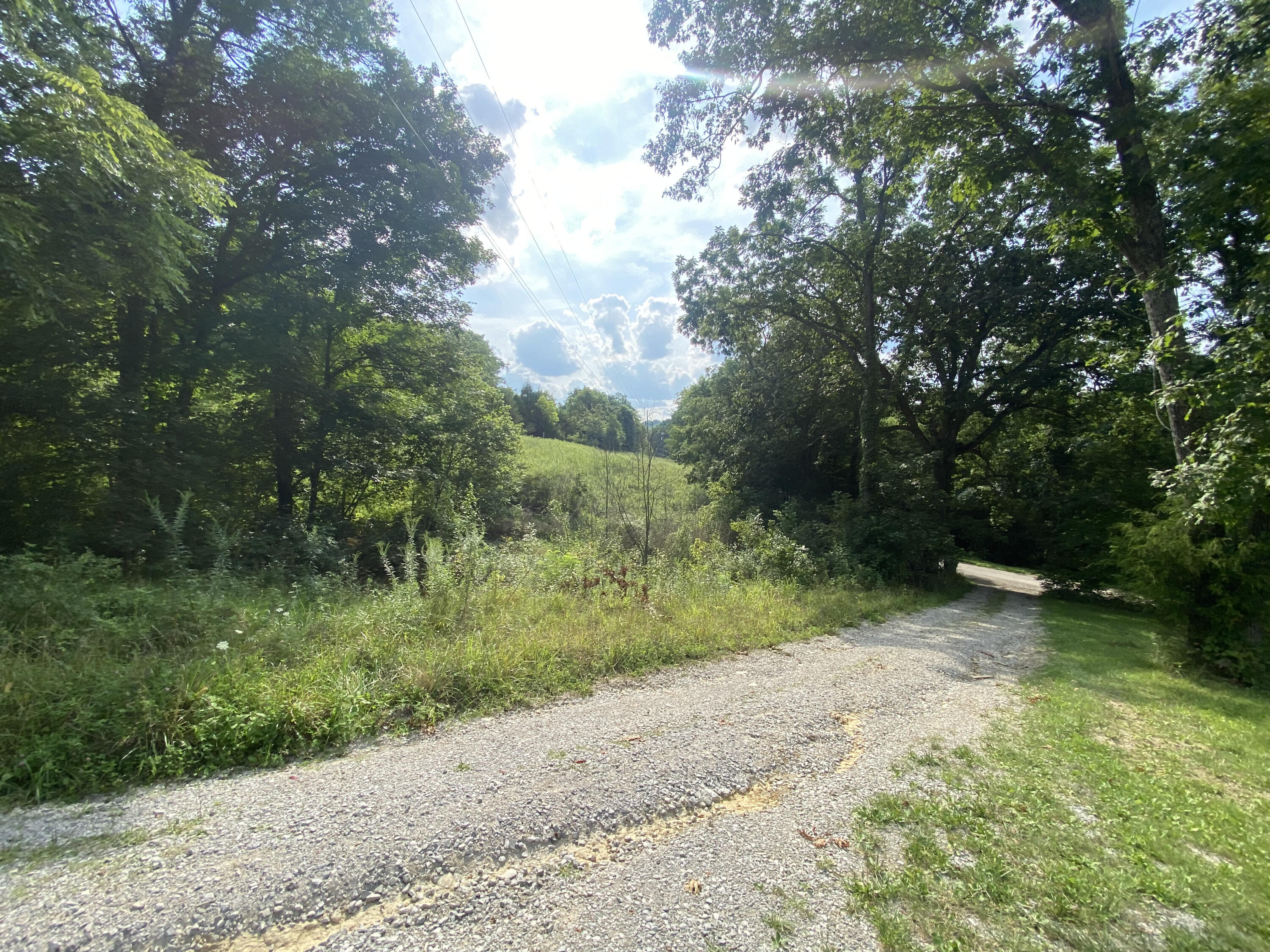 5285 Parina Road Brooksville, KY 41004 - Photo 15 of 15 Gallery Image 15