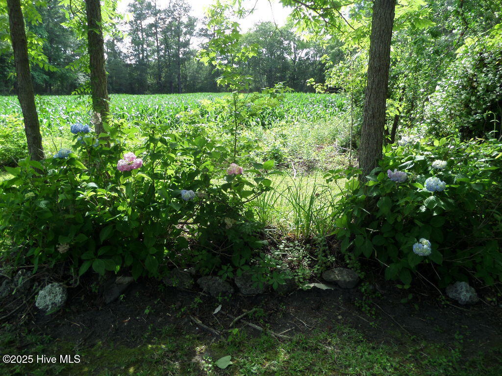 108 Swan Point Road Bayboro, NC 28515 - Photo 34 of 44 SAM_7362