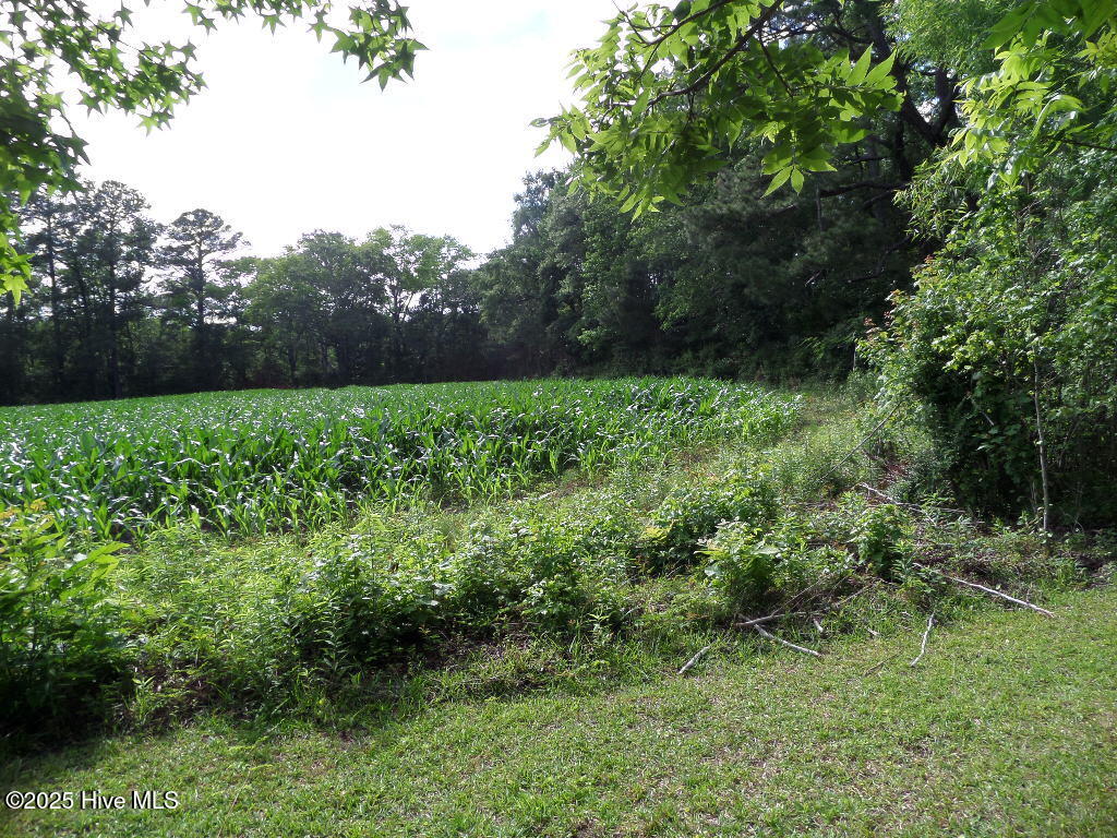 108 Swan Point Road Bayboro, NC 28515 - Photo 35 of 44 SAM_7363