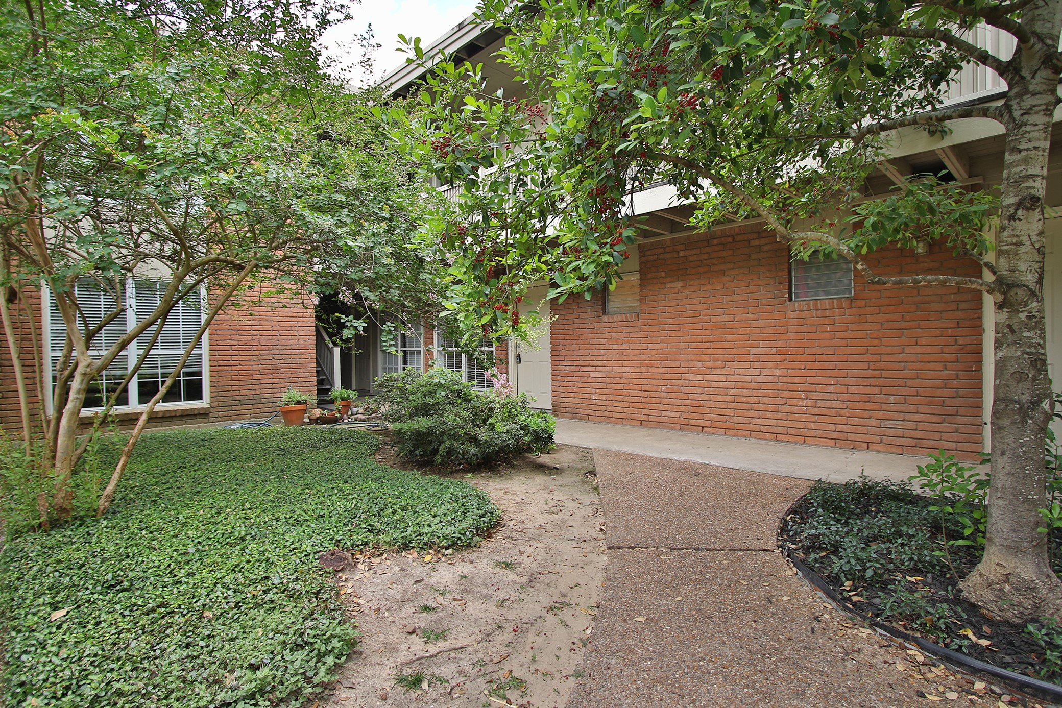 3702 Flora Street, Unit 14 Houston, TX 77006 - Photo 12 of 13 a backyard of a house with plants and large tree