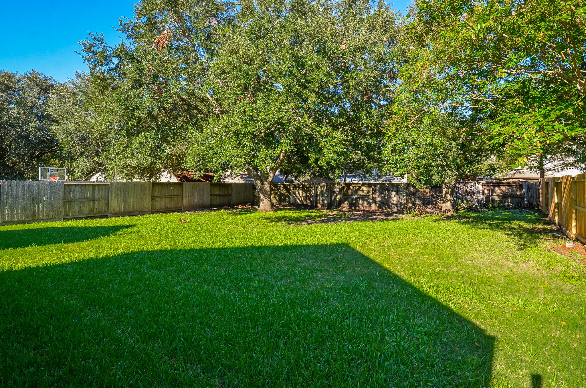 811 Spring Valley Court Sugar Land, TX 77479 - Photo 25 of 33 a view of yard with grass and trees