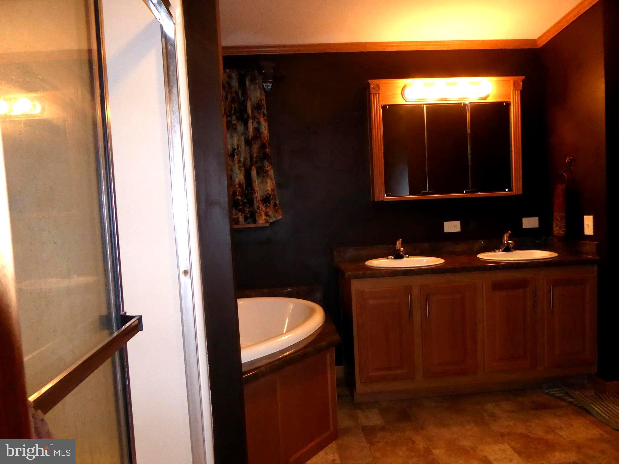 3053 Finland Road Pennsburg, PA 18073 - Photo 8 of 15 Main Bedroom Bathroom