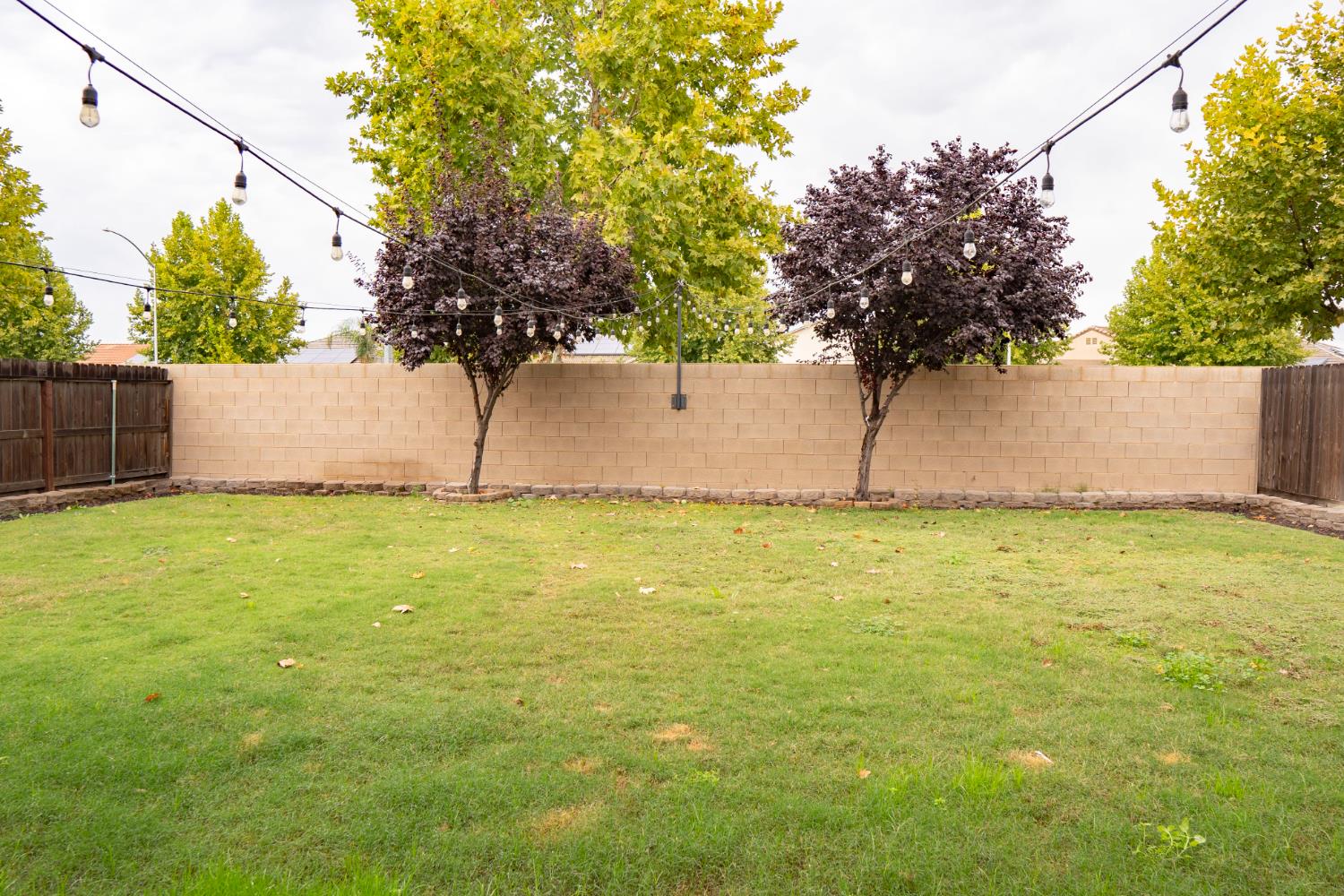 6974 East Atchison Street Fresno, CA 93727 - Photo 36 of 40 a view of yard