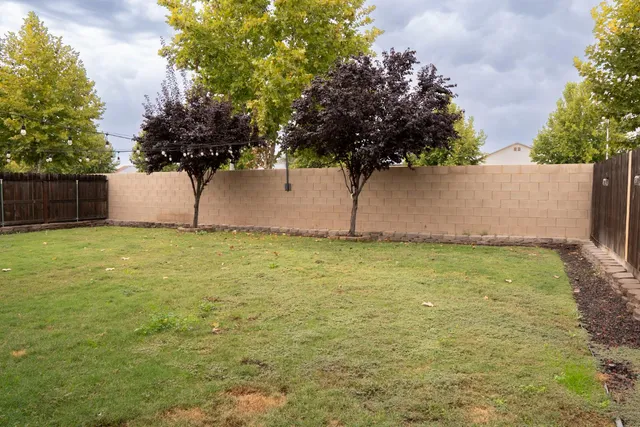 a view of a backyard