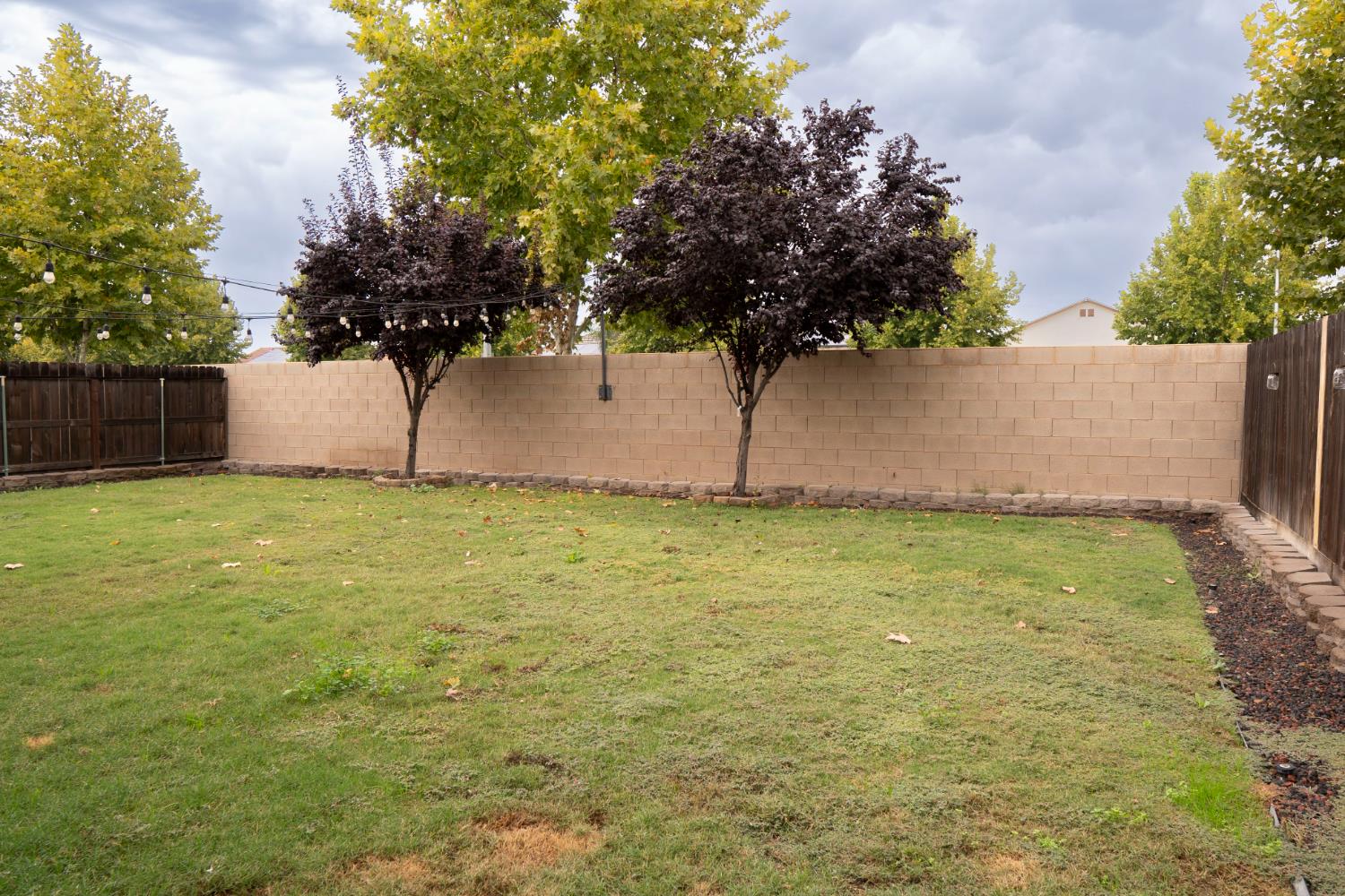 6974 East Atchison Street Fresno, CA 93727 - Photo 38 of 40 a view of a yard