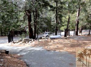 24640 Fern Valley Road Idyllwild, CA 92549 - Photo 6 of 18 a view of a trees with snow on the road